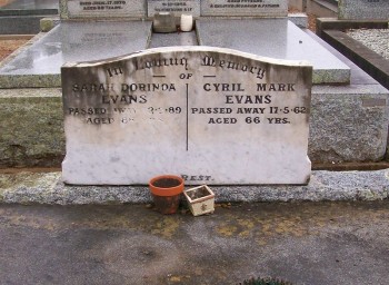 Sarah Dorinda EVANS - Moorngag Cemetery