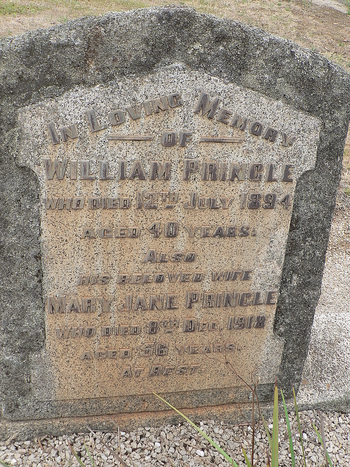 William PRINGLE - Winton Cemetery