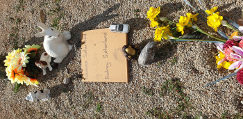 Violet Anne IRWIN - Winton Cemetery