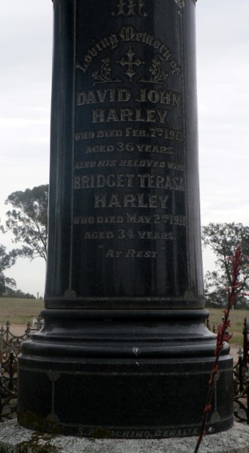David John (Baby) HARLEY - Winton Cemetery